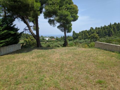 Detalji